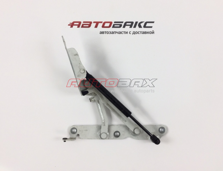 Door/Trunk Lid Hinge Volvo XC70 2007>