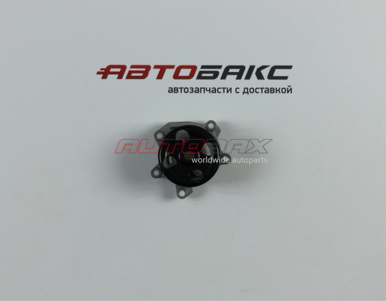 Pump (Water Pump) Nissan X-Trail (T32) 2014>